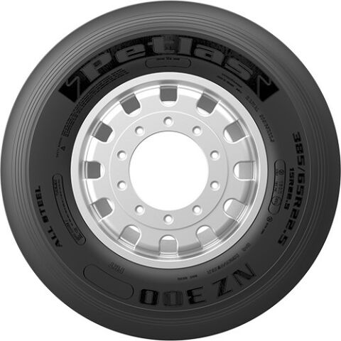 Petlas 435/50R19.5 160J 22PR NZ300 Asfalt Dorse Lastiği (2023)
