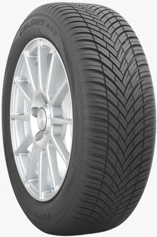 205/55 R 17 XL 95W CELSIUS AS2